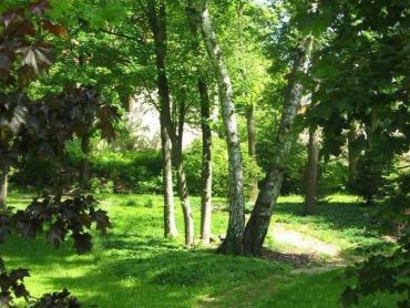 Zámecký park