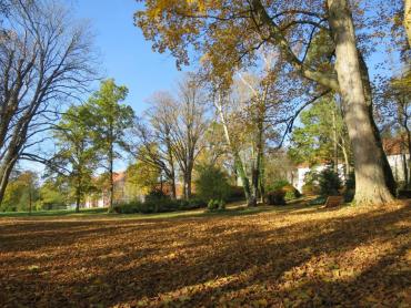 Zámecký park