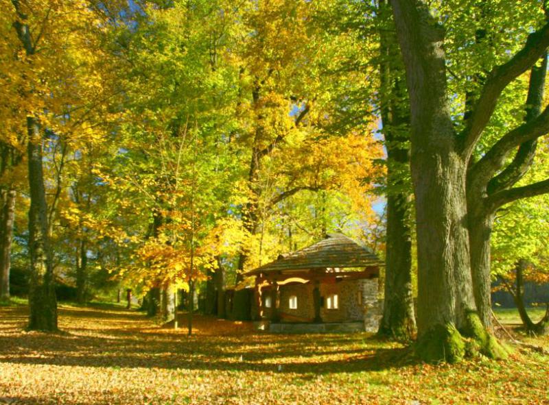 Zámecký park
