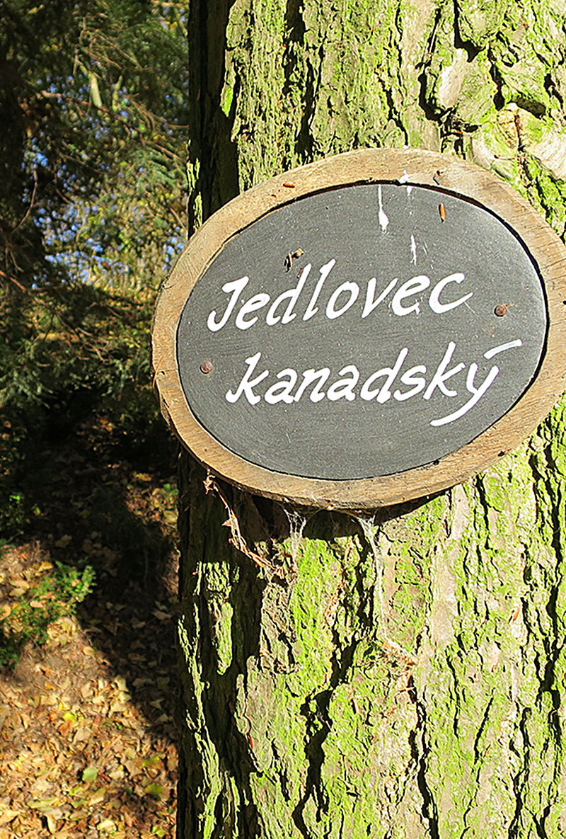 Zámecký park